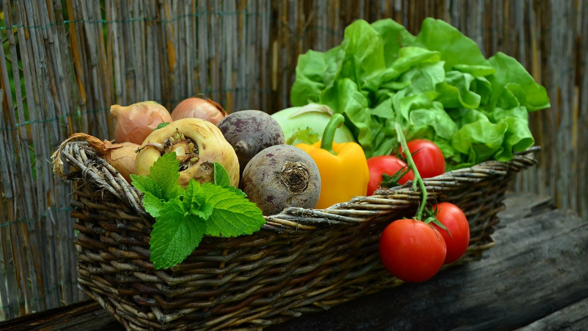 Ideen für den Gartenfreund image